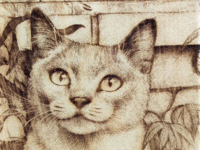 Разделочная доска с рисунком кошки из кедра