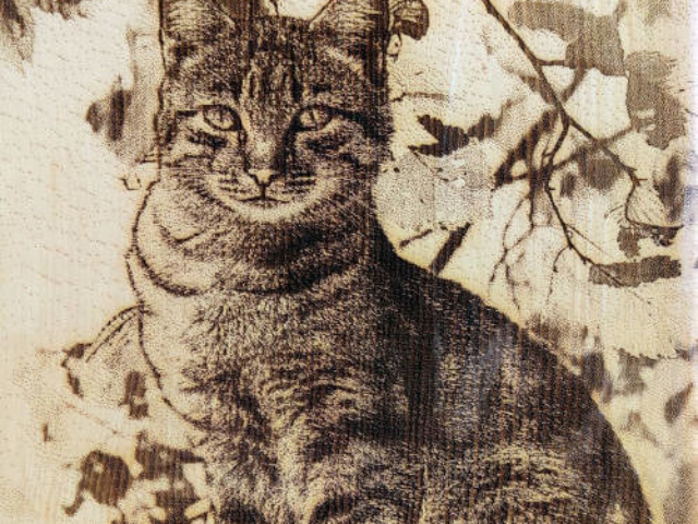 Разделочная доска с картинкой кошки из кедра