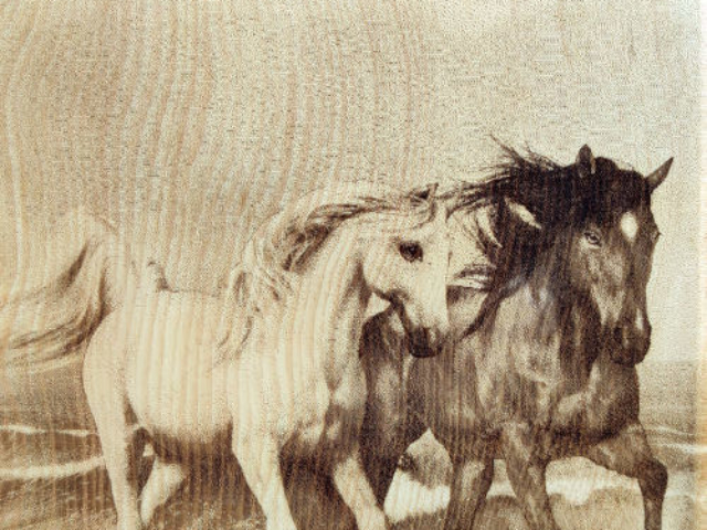 Разделочная доска с рисунком коней