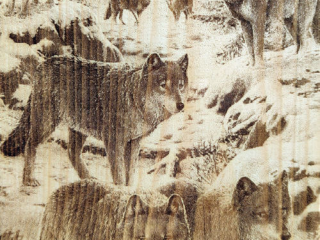 Разделочная доска с рисунком волка из массива сибирского кедра